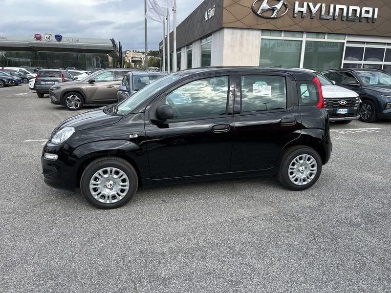 FIAT Panda New 1.0 70cv Hybrid Panda