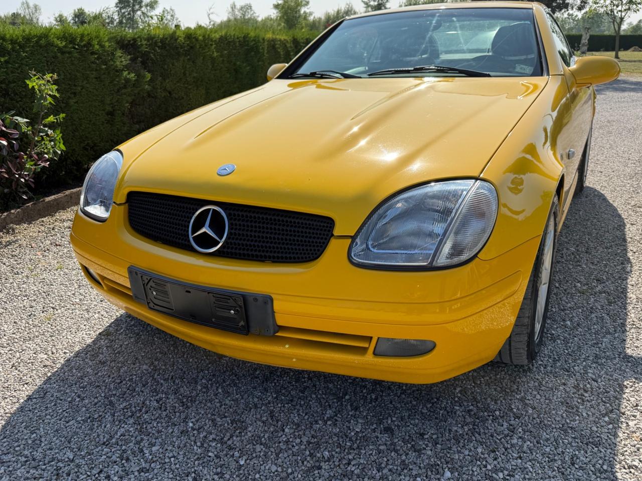 Mercedes-benz SLK 200 cat