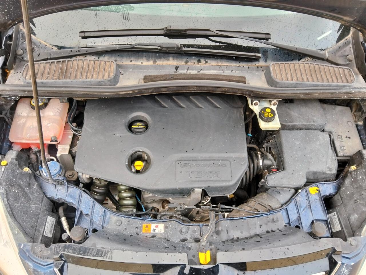 Ford C-Max 1.6 TDCi 115CV Titanium