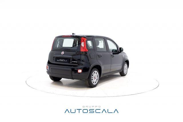 FIAT New Panda 1.0 FireFly S&S Hybrid