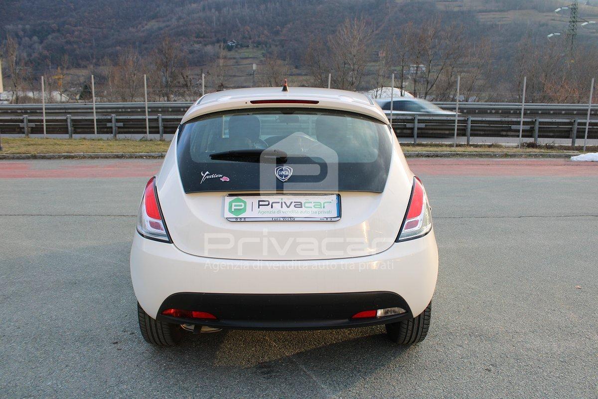 LANCIA Ypsilon 1.2 69 CV 5 porte Elefantino