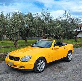 Mercedes-benz SLK 200 Kompressor - YELLOWSTONE 1 di 210 Esemplari