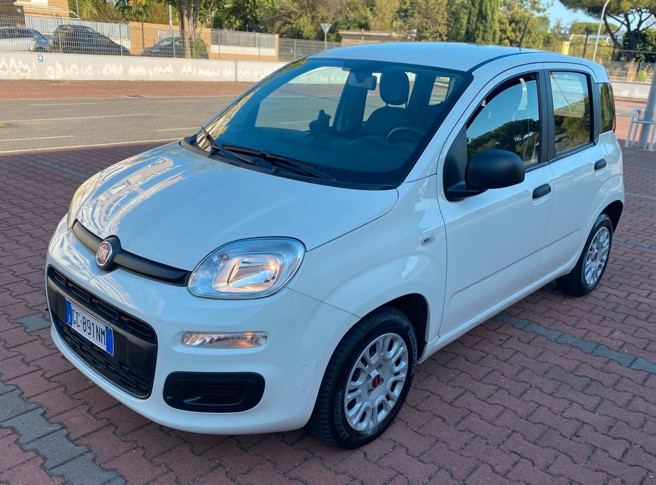 FIAT PANDA EASY 1.2cc IDONEA NEOPATENTATI