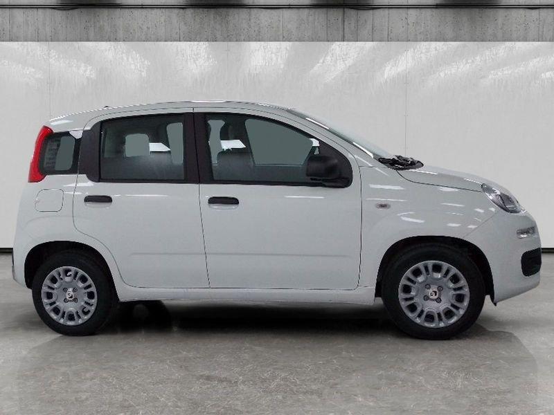 FIAT Pandina 1.0 firefly hybrid Icon s&s 70cv