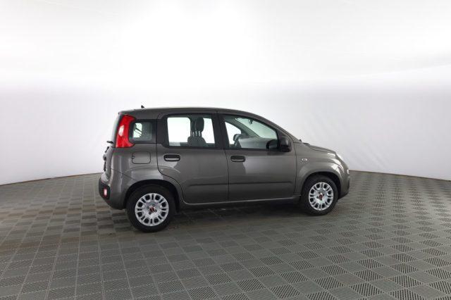 FIAT Panda Panda 1.0 FireFly Hybrid