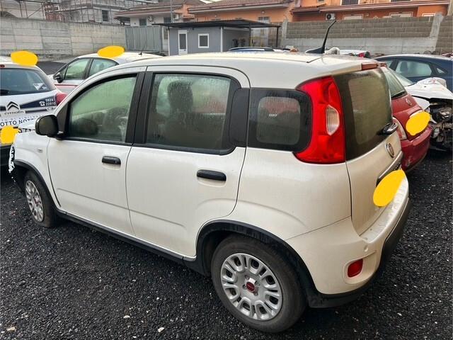 Fiat Panda 2024 1.0 FireFly S&S Hybrid incidentata sinistrata