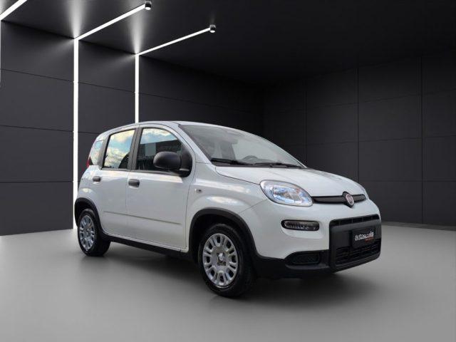 FIAT Panda 1.0 FireFly S&S Hybrid Pandina