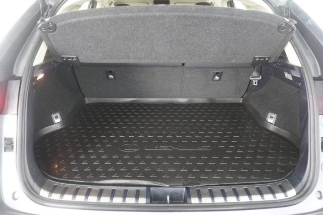 LEXUS Other NX NX Hybrid 4WD Icon