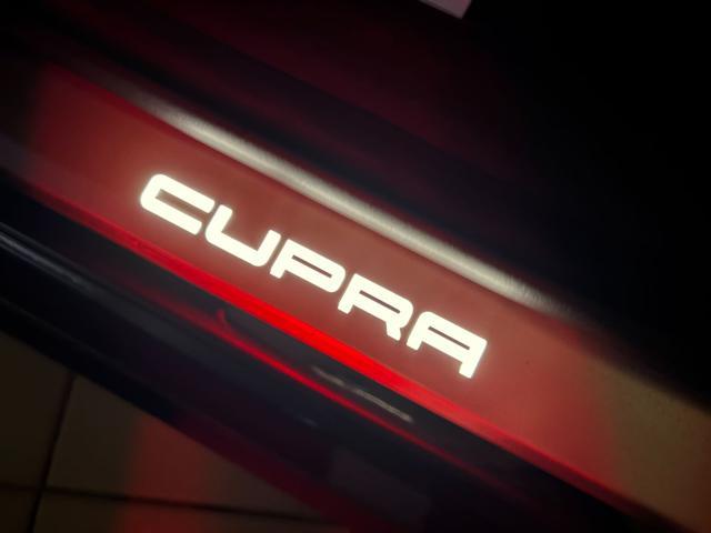 CUPRA Formentor 2.0 TDI 150 CV 4Drive DSG