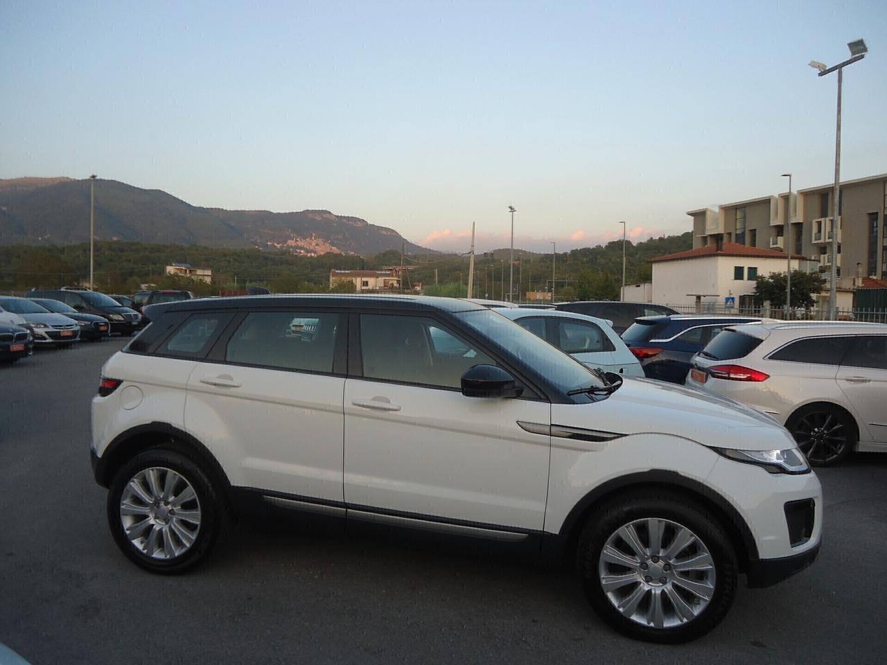 Land Rover Range Rover Evoque 2.0 TD4 180 CV 5p. Business Edition Pure