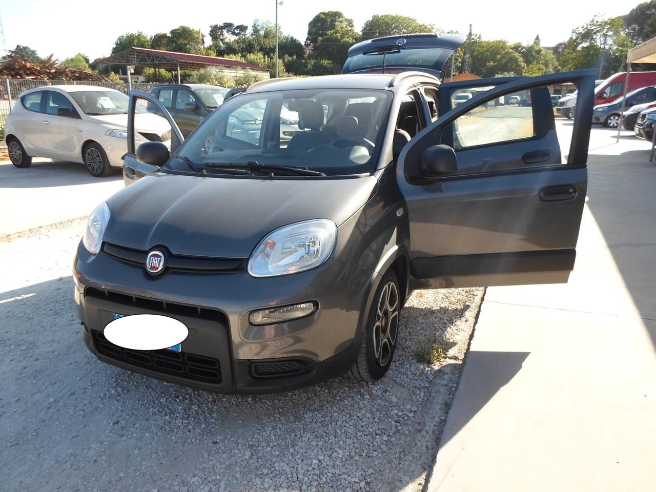 Fiat Panda 1.0 FireFly S&S Hybrid Sport