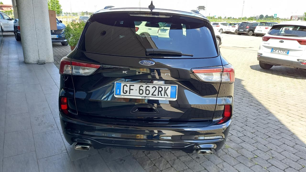 Ford Kuga 1.5 EcoBlue 120 CV aut. 2WD ST-Line