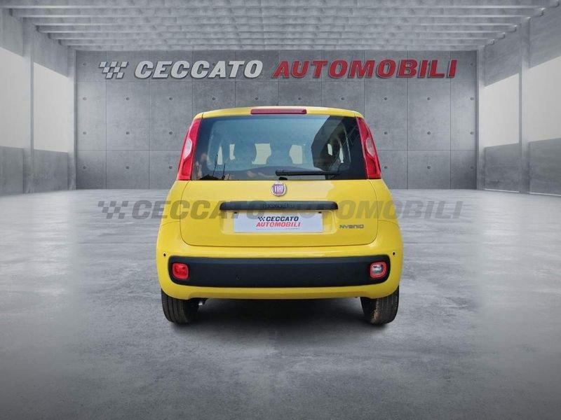 FIAT Panda Panda 1.0 firefly hybrid s&s 70cv