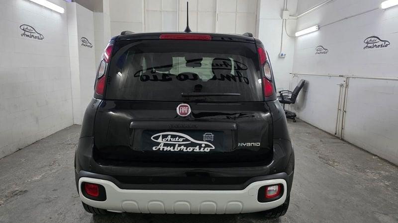 FIAT Panda Cross Panda Cross 1.0 FireFly S&S Hybrid PANDINO TUA DA 169.00 EURO AL MESE