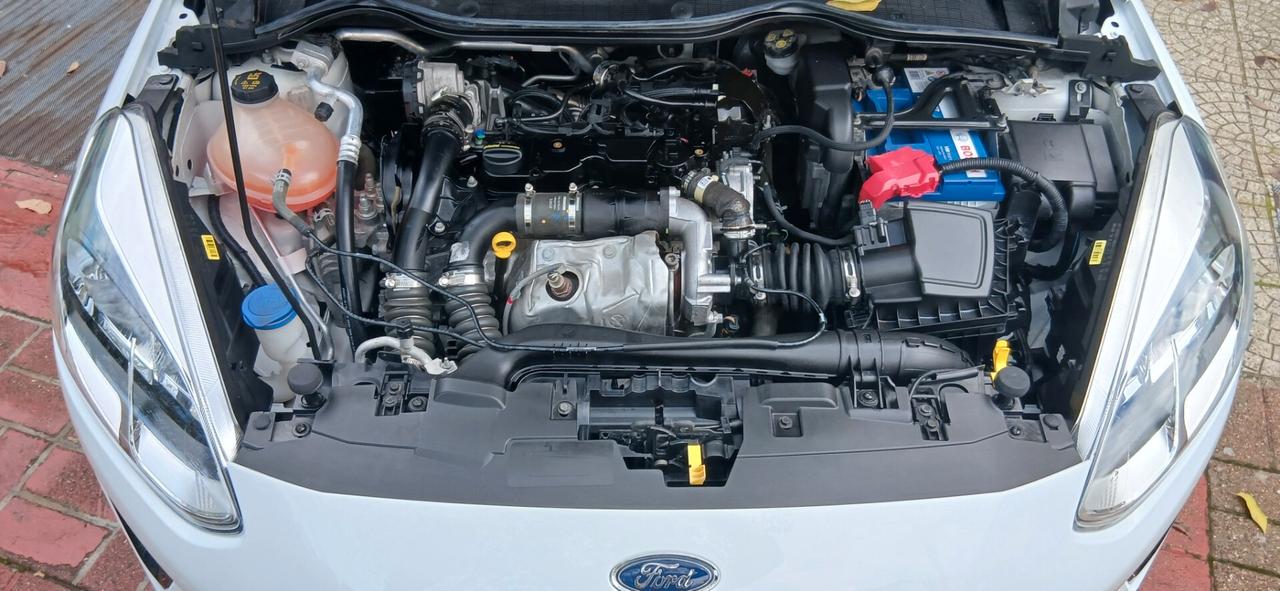 Ford Fiesta 1.5 EcoBlue 5 porte Business
