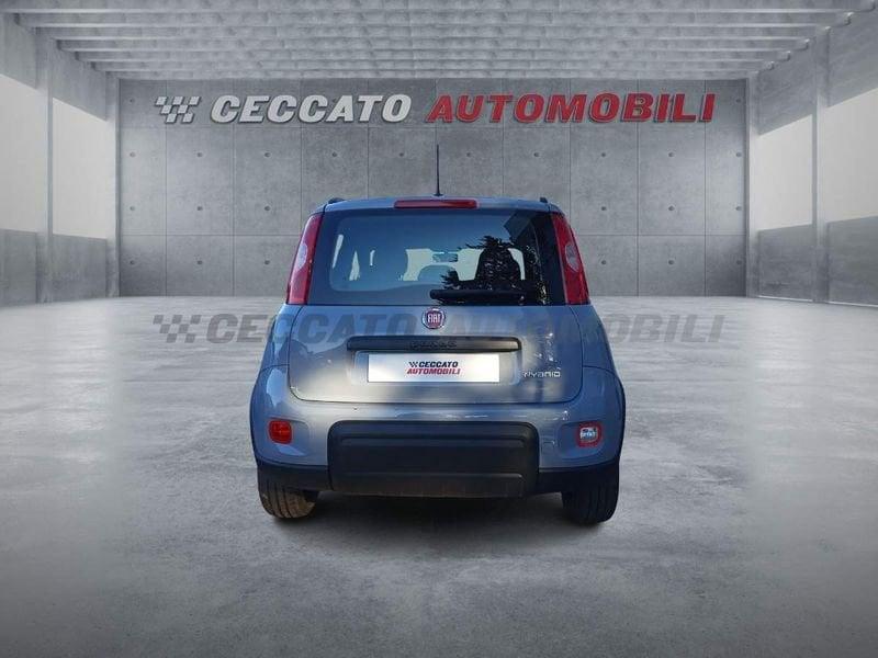 FIAT Panda Panda 1.0 firefly hybrid City Life s&s 70cv 5p.ti