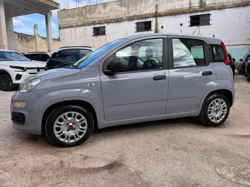 FIAT Panda 3ª serie Panda 1.0 FireFly S&S Hybrid
