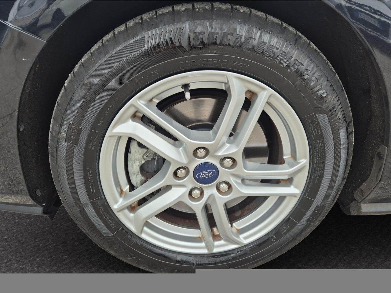 FORD Focus SW 1.5 EcoBlue 120cv Business S&S