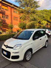 Fiat Panda Hybrid City Life 5 posti