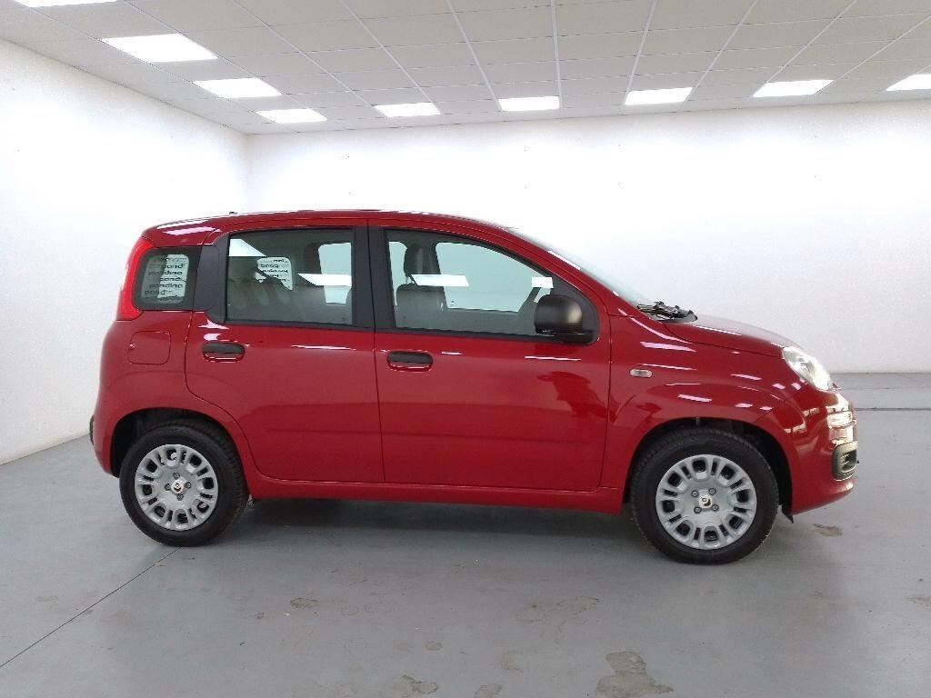 Fiat Panda Pandina 1.0 firefly hybrid Icon s&s 70cv 5p.ti