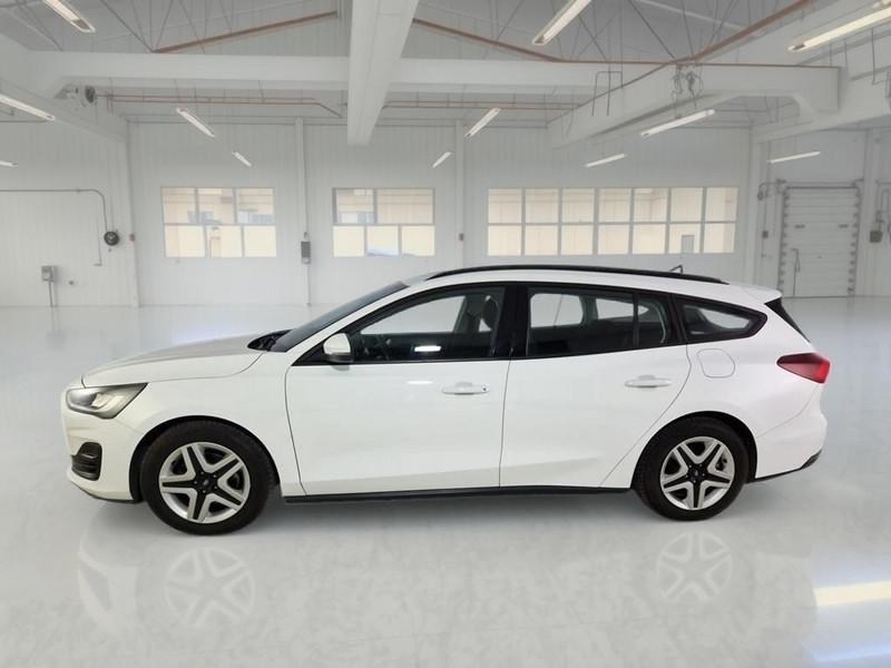 FORD FOCUS WAGON 1.5 Ecoblue 120cv Business Auto