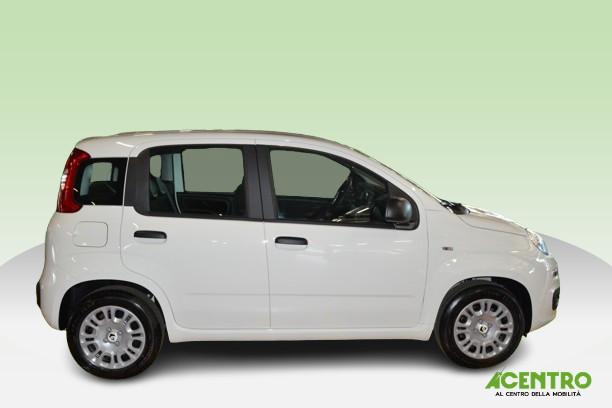 FIAT PANDA - PANDA 1.0 70CV HYBRID ICON