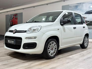 FIAT PANDA 1.2 69CV 80.000KM 2016 NEOPATENTATI