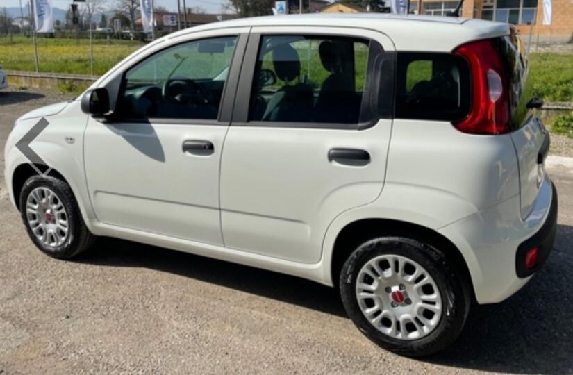 Fiat Panda 1.3 MJT 95 CV S&S Lounge ok neopatentati