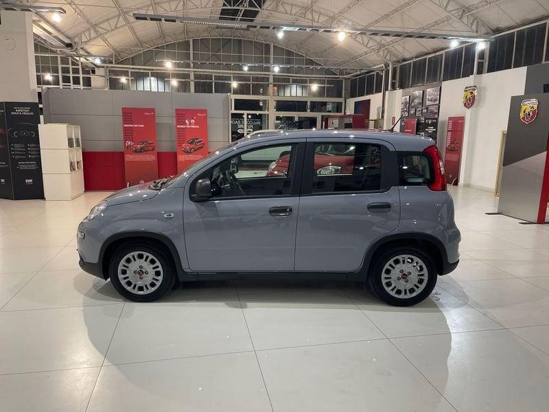 FIAT Panda PANDA Hybrid 1.0 70 CV