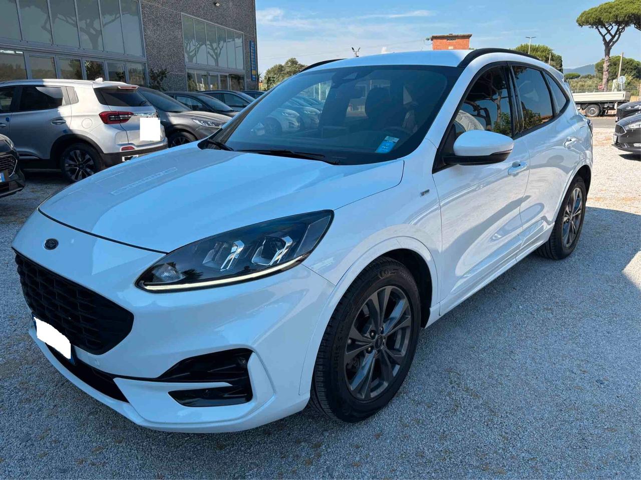 Ford Kuga 1.5 EcoBlue 120 CV 2WD ST-Line