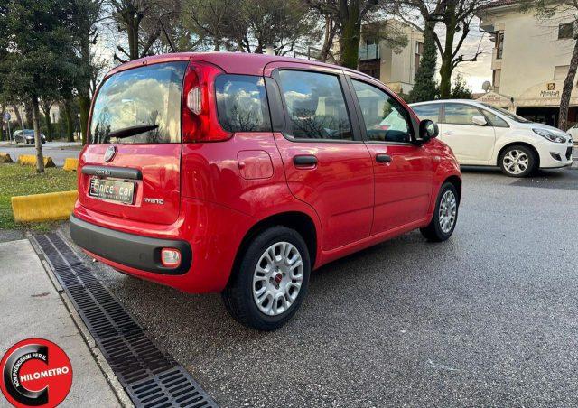 FIAT Panda 1.0 FireFly S&S Hybrid Easy