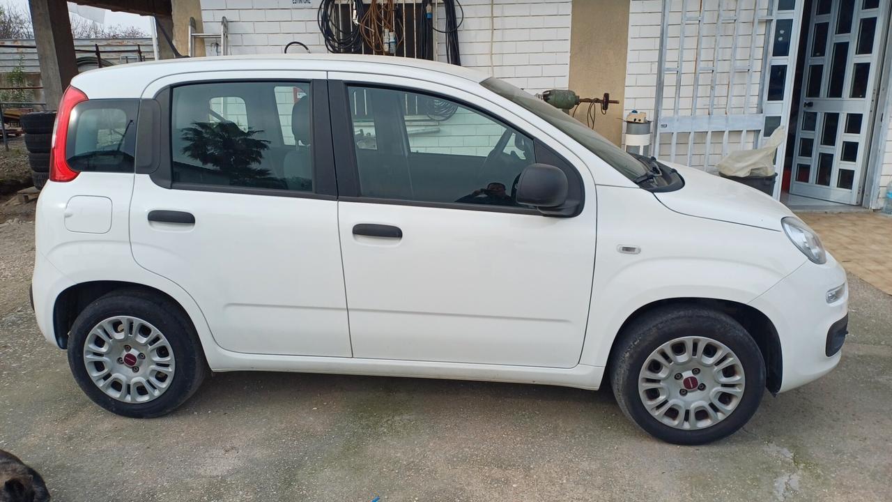 Fiat Panda 1.2 Easy SOLO 80MILA KM 2020