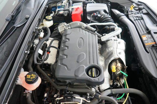 FORD Focus 1.5 EcoBlue 120 CV auto SW Co-Pilot