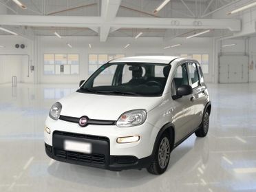 FIAT PANDA 1.0 FireFly 70cv S/S Hybrid 5 PORTE