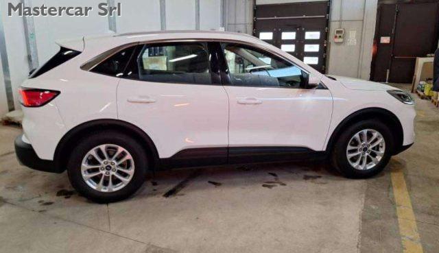 FORD Kuga 1.5 Titanium Business 2wd 120cv auto - GF609BZ