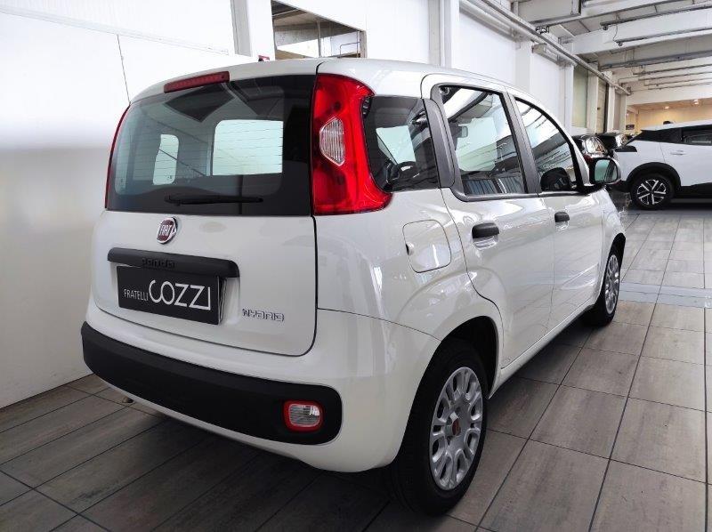 FIAT Panda 3ª serie - Panda 1.0 FireFly S&S Hybrid