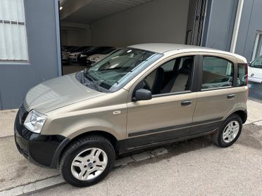 Fiat Panda 1.2 4x4*NEOPATENTATI