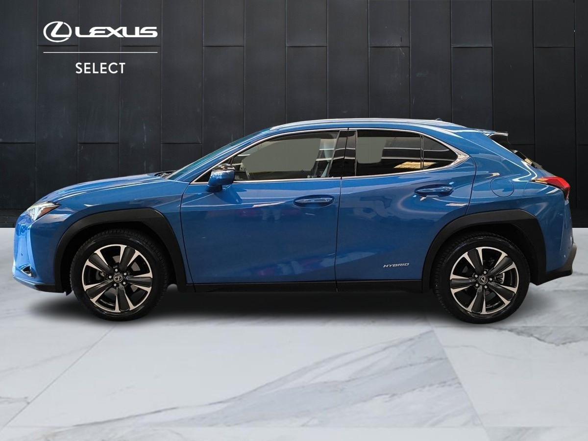 LEXUS UX 2019 - UX 250h 2.0 Luxury 4wd cvt my20