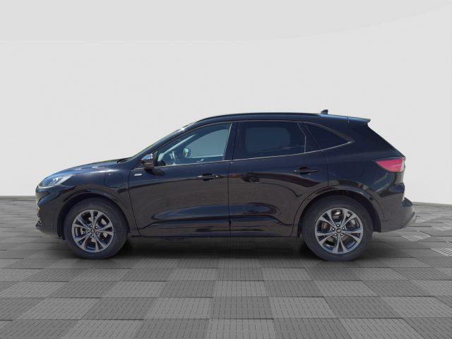 FORD Kuga Kuga 2.5 Plug In Hybrid 225 CV CVT 2WD ST-Line