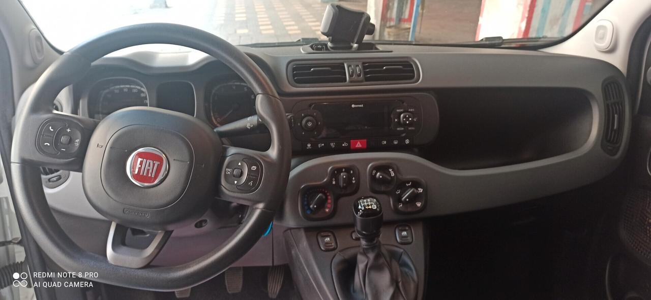 Fiat Panda 1.0 FireFly S&S Hybrid km 56.000