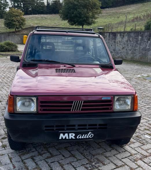 Fiat Panda 1.1 Fire Trekking 4x4 cat.