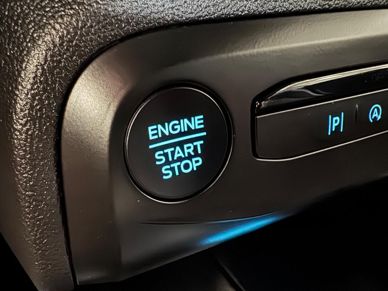 Ford Focus 1.5 ecoblue ST-Line 115cv auto