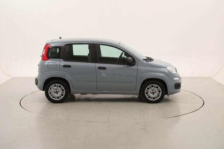 Fiat Panda Hybrid BR164683 1.0 Mild Hybrid 70CV