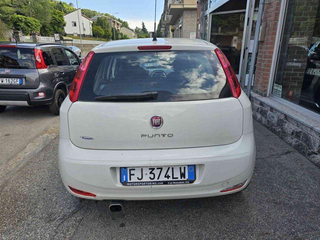 FIAT Punto 1.2 8V 5 porte Street GPL