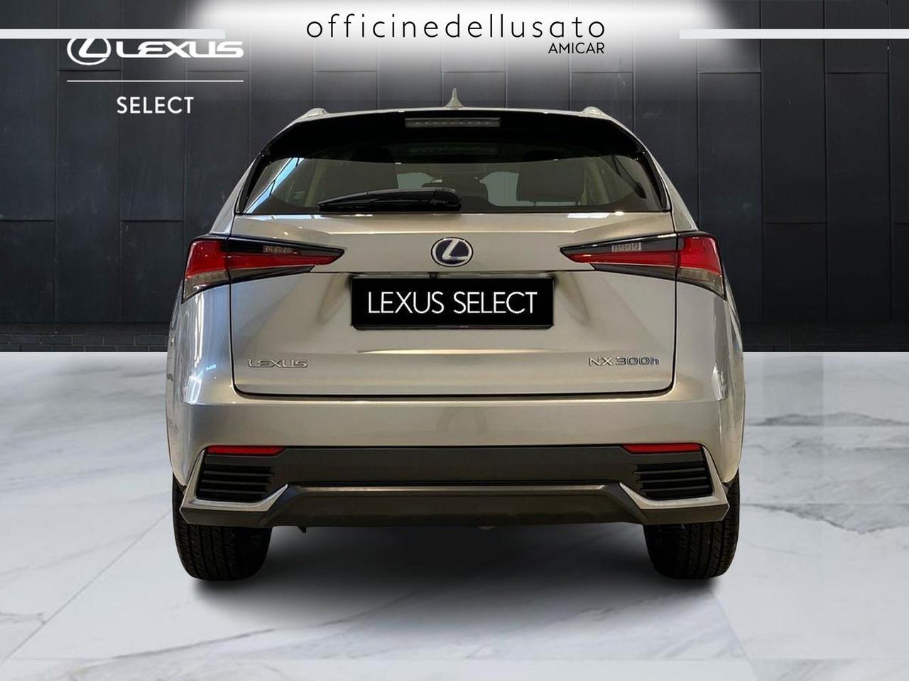 Lexus NX 300 2.5 hybrid business 4wd cvt