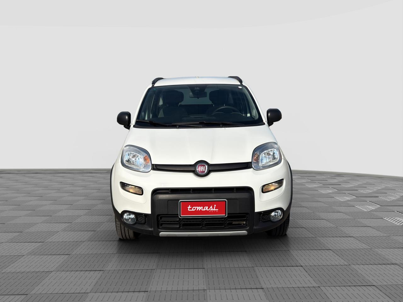 FIAT Panda 3ª serie Panda 0.9 TwinAir Turbo S&S 4x4 Wild