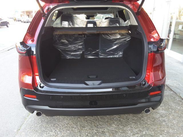 MAZDA CX-5 2.5L e-Skyactiv G 141cv MHEV 6AT Homura *TETTO*