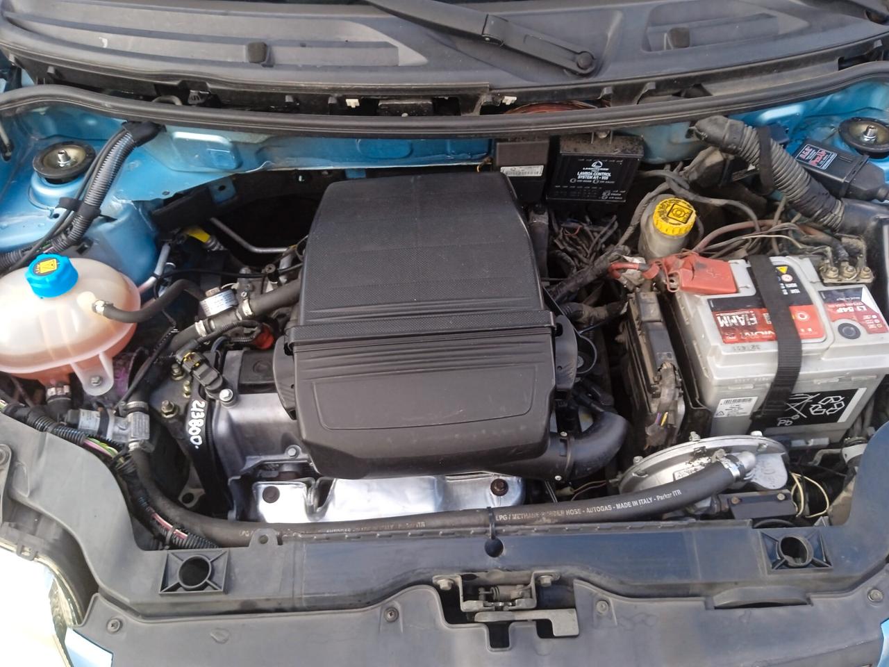 Fiat Panda 1.2 Emotion ASI no bollo assicurazione ridotta