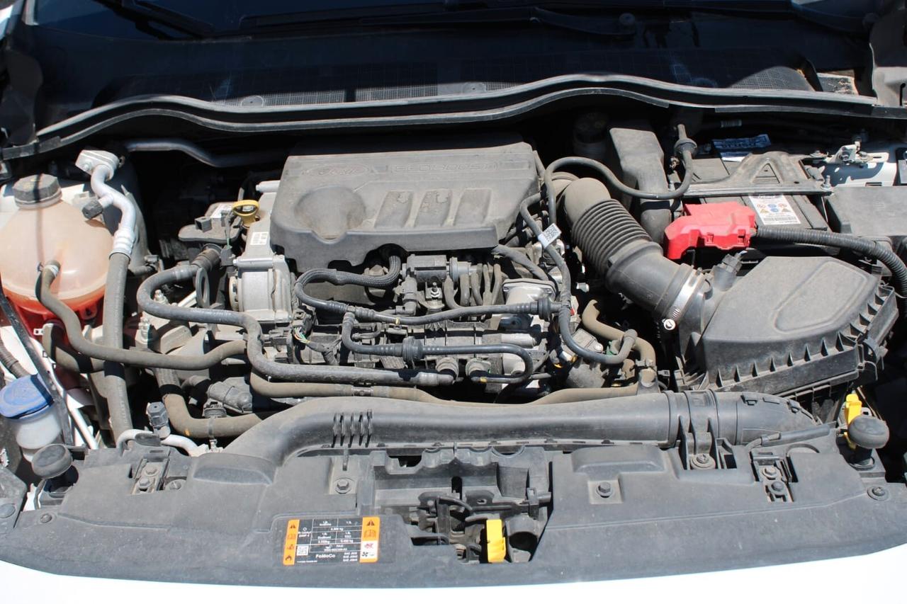 Ford Fiesta Tua A SOLI 176€ al mese Anticipo Zero