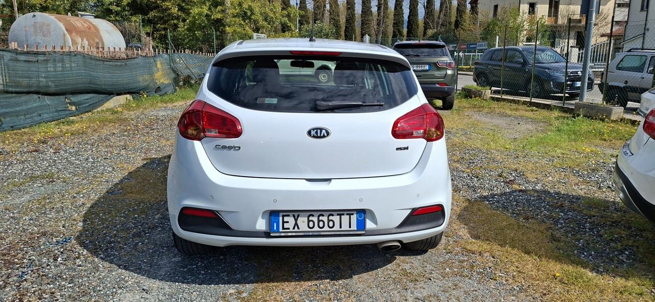 Kia Ceed cee'd 1.4 CRDi 5 porte Active